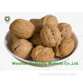 Wholesale Chinese Walnut Kernels Pieces(LP) Light color